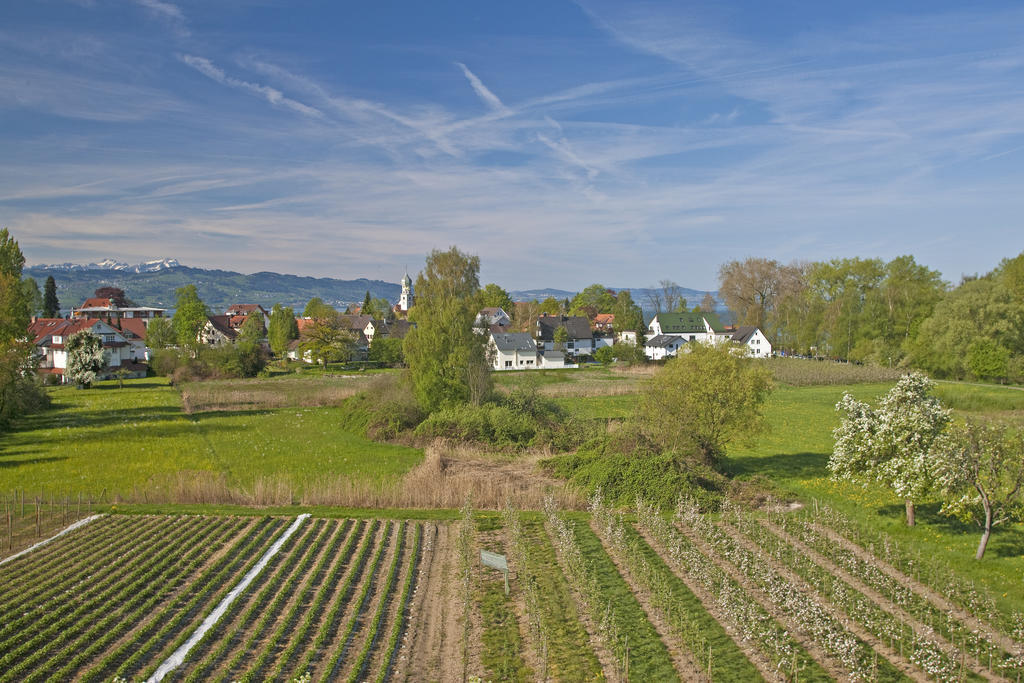 Hotel-Restaurant Walserhof ヴァッサーブルク エクステリア 写真